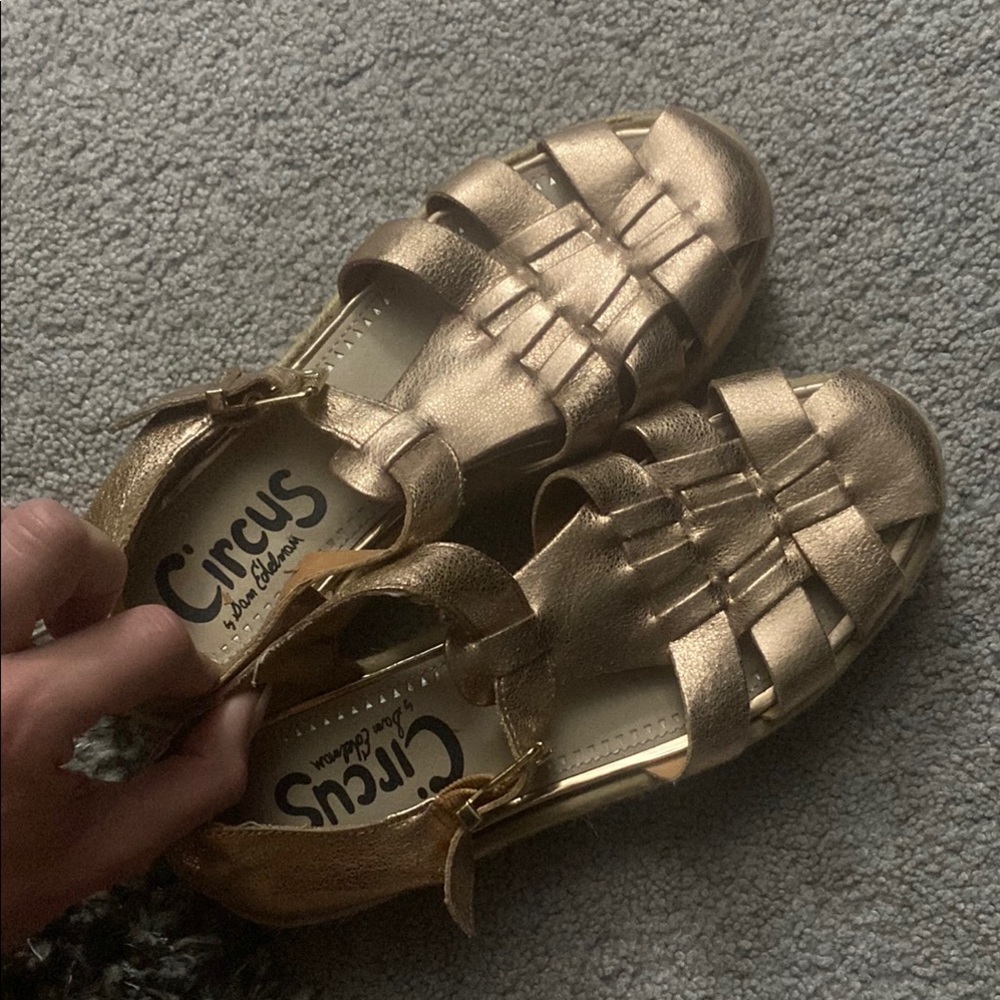 Circus by Sam Edelman Rose Gold Platform Sandals